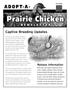 Thumbnail image of item number 1 in: 'Adopt-A-Prairie Chicken Newsletter, Fall 2008'.
