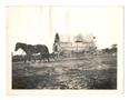 Thumbnail image of item number 1 in: '[Photograph of a Covered Wagon in Bayside]'.