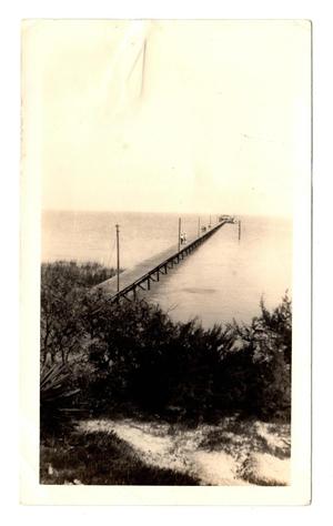 Primary view of object titled '[Photograph of a Wharf in Bayside]'.