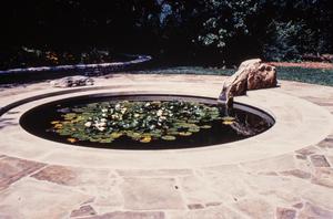 [Fuller Garden Reflecting Pool with Lilies]