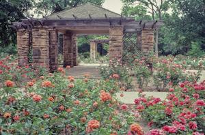 [Oval Rose Garden Pavilion #1]