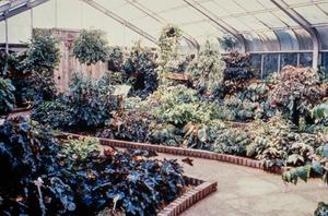 [Exhibition Greenhouse #2]