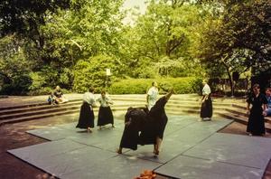 [Japanese Garden Martial Arts]