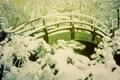 Photograph: [Moon Bridge Covered in Snow]