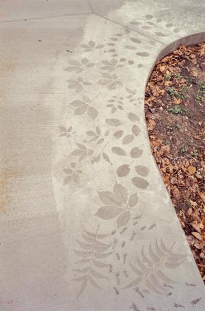 Primary view of object titled '[Botanic Garden Footpath]'.