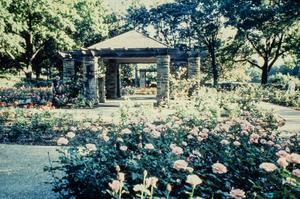 [Oval Rose Garden Pavilion #2]
