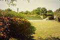 Primary view of [Trial Garden from Horseshoe Garden Vista]