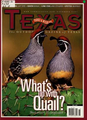Texas Parks & Wildlife, Volume 65, Number 11, November 2007