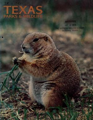 Texas Parks & Wildlife, Volume 37, Number 8, August 1979
