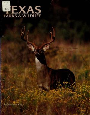Texas Parks & Wildlife, Volume 37, Number 11, November 1979