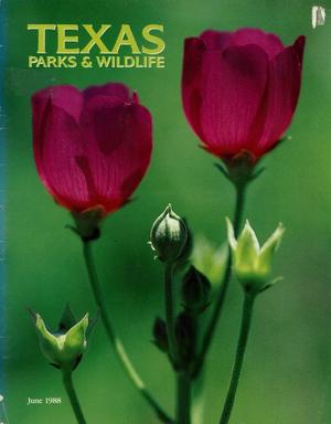 Texas Parks & Wildlife, Volume 46, Number 6, June 1988