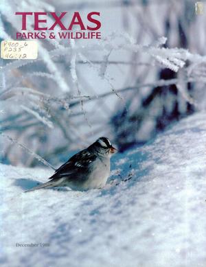 Primary view of object titled 'Texas Parks & Wildlife, Volume 46, Number 12, December 1988'.