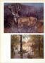 Thumbnail image of item number 4 in: 'Texas Parks & Wildlife, Volume 44, Number 2, February 1986'.