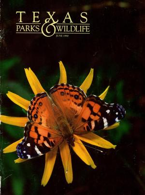 Texas Parks & Wildlife, Volume 48, Number 7, July 1990