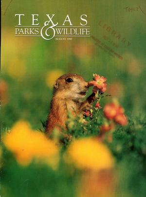 Primary view of object titled 'Texas Parks & Wildlife, Volume 48, Number 8, August 1990'.