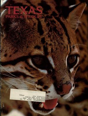Texas Parks & Wildlife, Volume 36, Number 4, April 1978