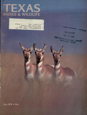 Texas Parks & Wildlife, Volume 36, Number 6, June 1978