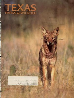 Texas Parks & Wildlife, Volume 36, Number 8, August 1978