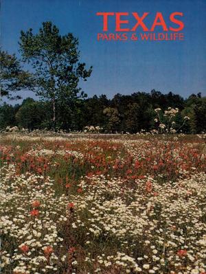 Texas Parks & Wildlife, Volume 35, Number 5, May 1977