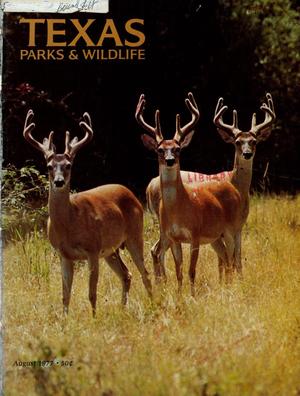 Texas Parks & Wildlife, Volume 35, Number 8, August 1977