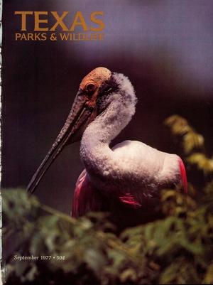 Primary view of object titled 'Texas Parks & Wildlife, Volume 35, Number 9, September 1977'.