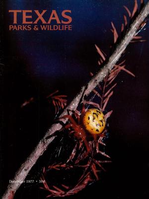 Texas Parks & Wildlife, Volume 35, Number 12, December 1977