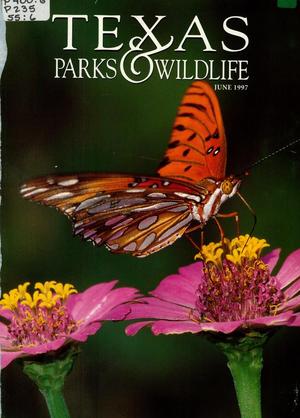 Texas Parks & Wildlife, Volume 55, Number 6, June 1997