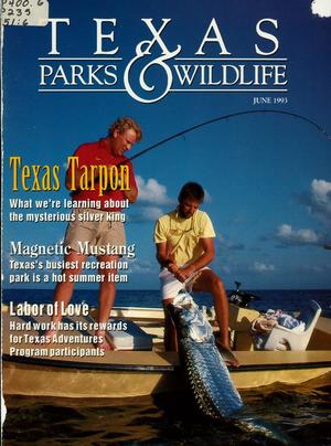 Primary view of object titled 'Texas Parks & Wildlife, Volume 51, Number 6, June 1993'.