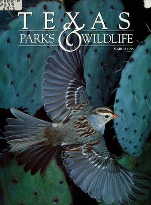 Texas Parks & Wildlife, Volume 53, Number 3, March 1995