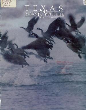 Texas Parks & Wildlife, Volume 47, Number 1, January 1989