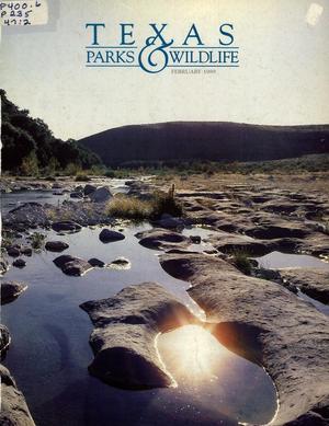 Primary view of object titled 'Texas Parks & Wildlife, Volume 47, Number 2, February 1989'.