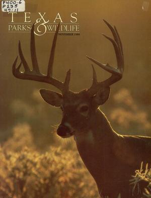 Texas Parks & Wildlife, Volume 47, Number 11, November 1989
