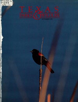 Texas Parks & Wildlife, Volume 49, Number 11, November 1991