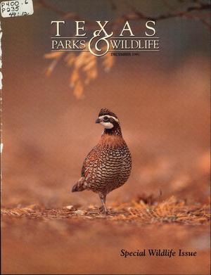 Texas Parks & Wildlife, Volume 49, Number 12, December 1991