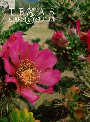 Texas Parks & Wildlife, Volume 50, Number 3, March 1992