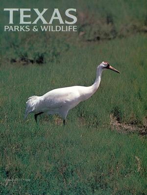 Primary view of object titled 'Texas Parks & Wildlife, Volume 33, Number 3, March 1975'.