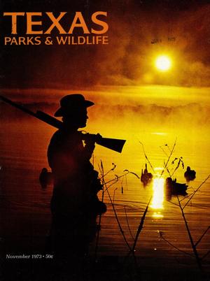 Texas Parks & Wildlife, Volume 31, Number 11, November 1973