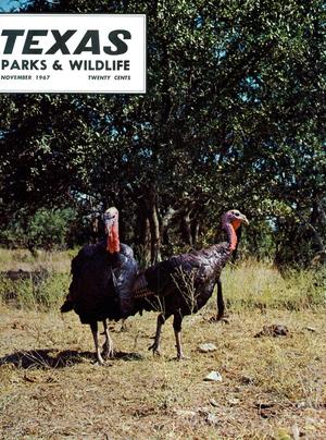 Texas Parks & Wildlife, Volume 25, Number 11, November 1967