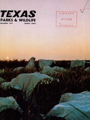 Texas Parks & Wildlife, Volume 25, Number 12, December 1967