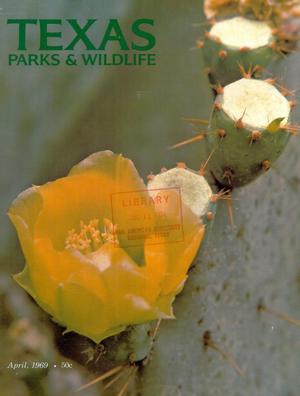 Texas Parks & Wildlife, Volume 27, Number 4, April 1969