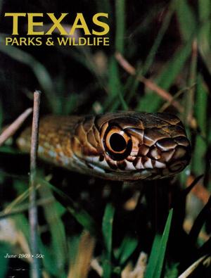 Texas Parks & Wildlife, Volume 27, Number 6, June 1969