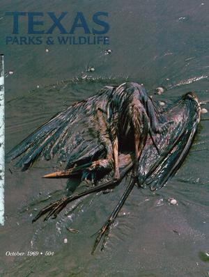 Texas Parks & Wildlife, Volume 27, Number 10, October 1969