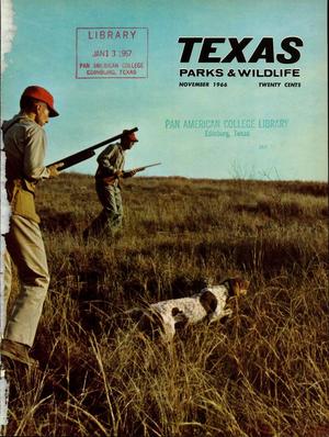 Primary view of object titled 'Texas Parks & Wildlife, Volume 24, Number 11, November 1966'.