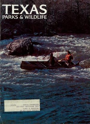 Texas Parks & Wildlife, Volume 28, Number 2, February 1970