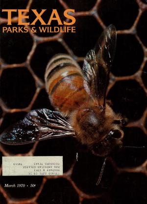 Texas Parks & Wildlife, Volume 28, Number 3, March 1970