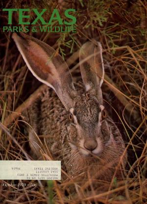 Texas Parks & Wildlife, Volume 28, Number 10, October 1970