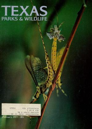 Texas Parks & Wildlife, Volume 29, Number 2, February 1971