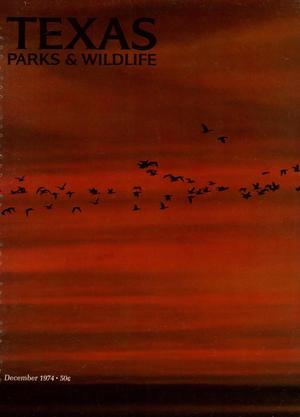 Texas Parks & Wildlife, Volume 32, Number 12, December 1974