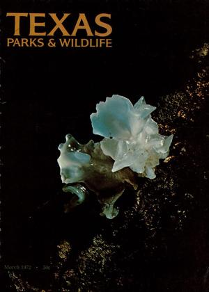 Texas Parks & Wildlife, Volume 30, Number 3, March 1972