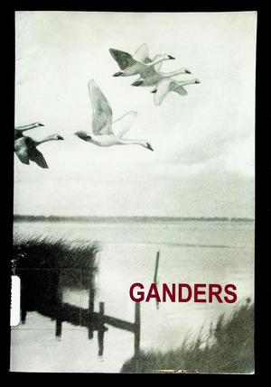 Primary view of object titled 'Ganders'.